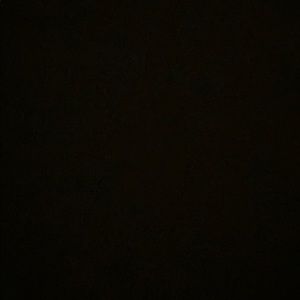 Meet your Posher, Renae